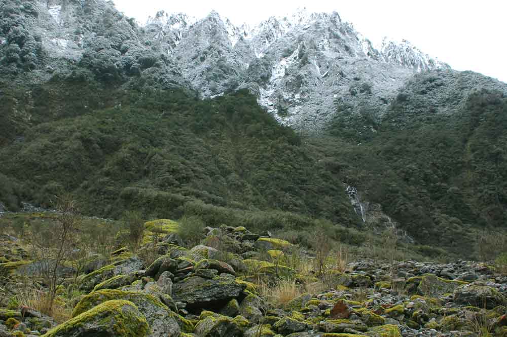 201 - Nueva Zelanda, paisaje